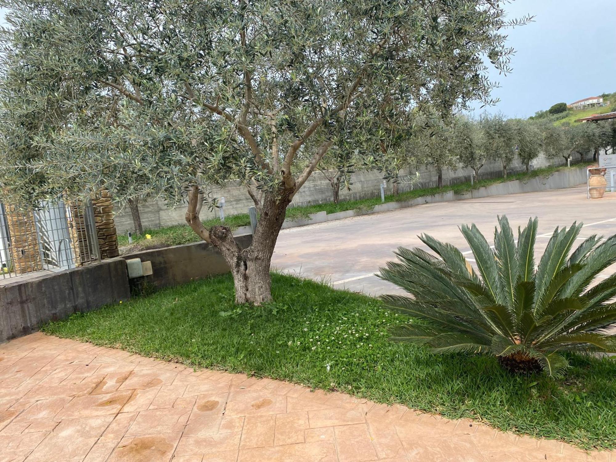 Miro' Agropoli Bed & Breakfast Exterior photo