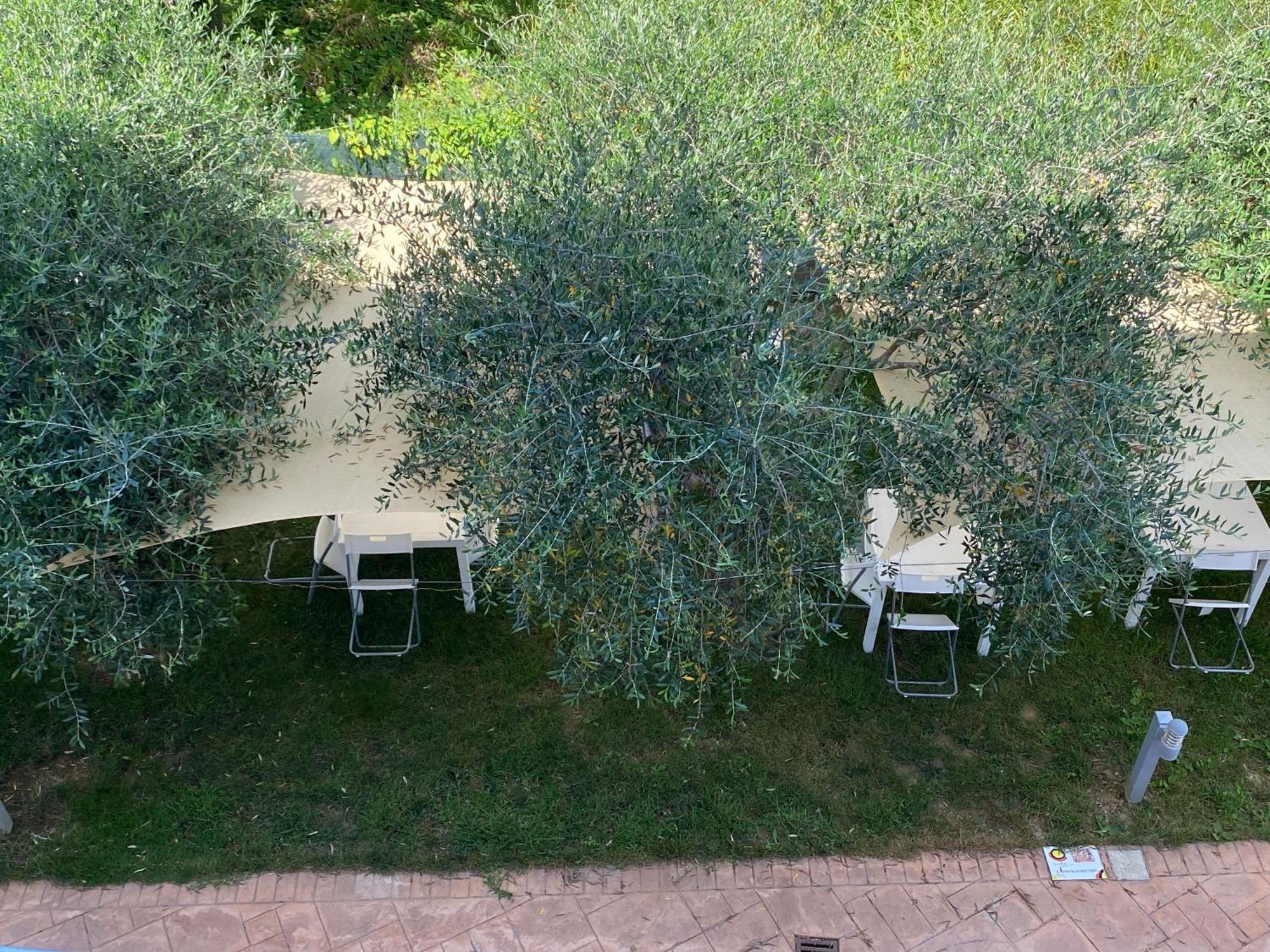 Miro' Agropoli Bed & Breakfast Exterior photo
